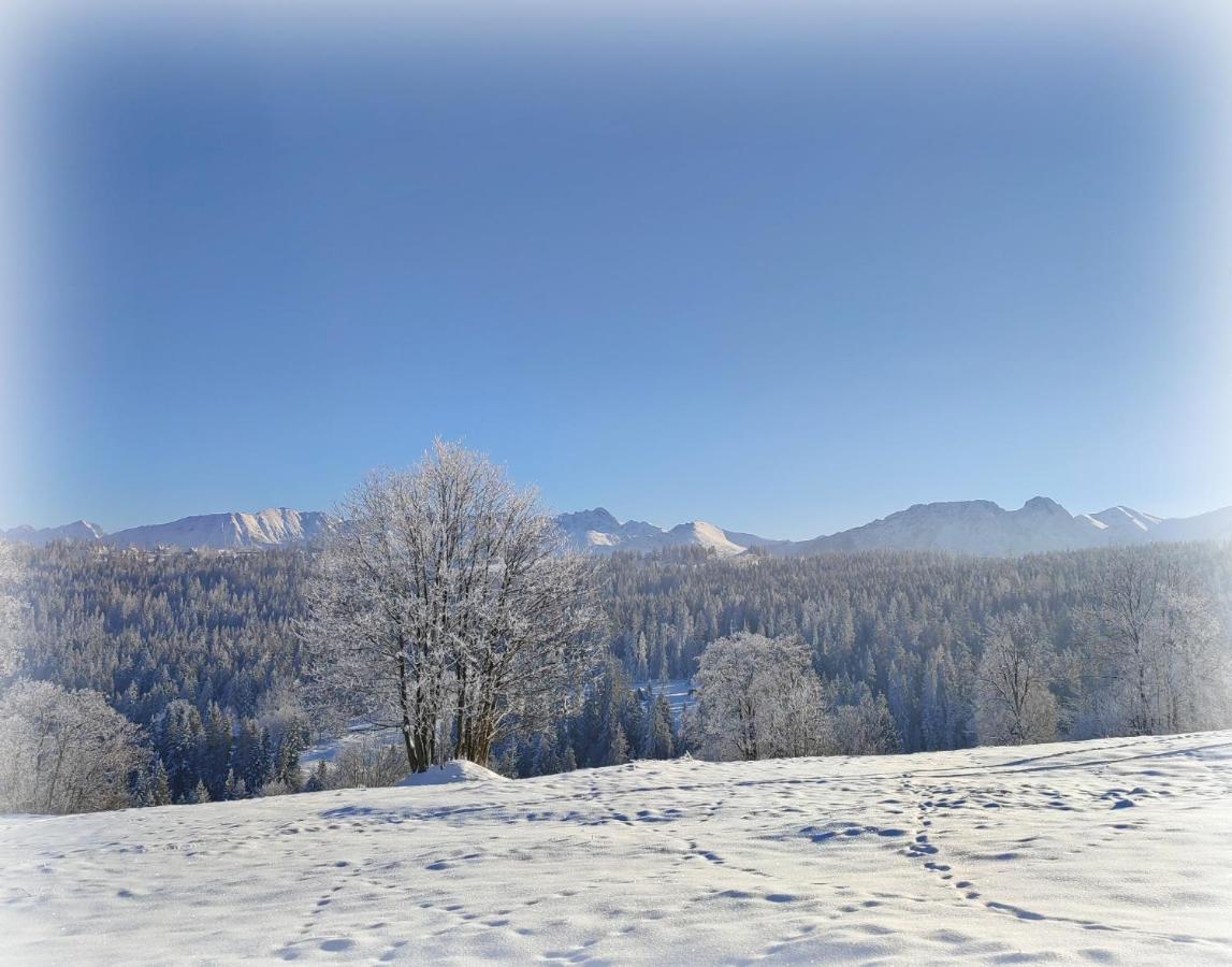 Willa Juna Tatry Nowe Bystre Eksteriør bilde